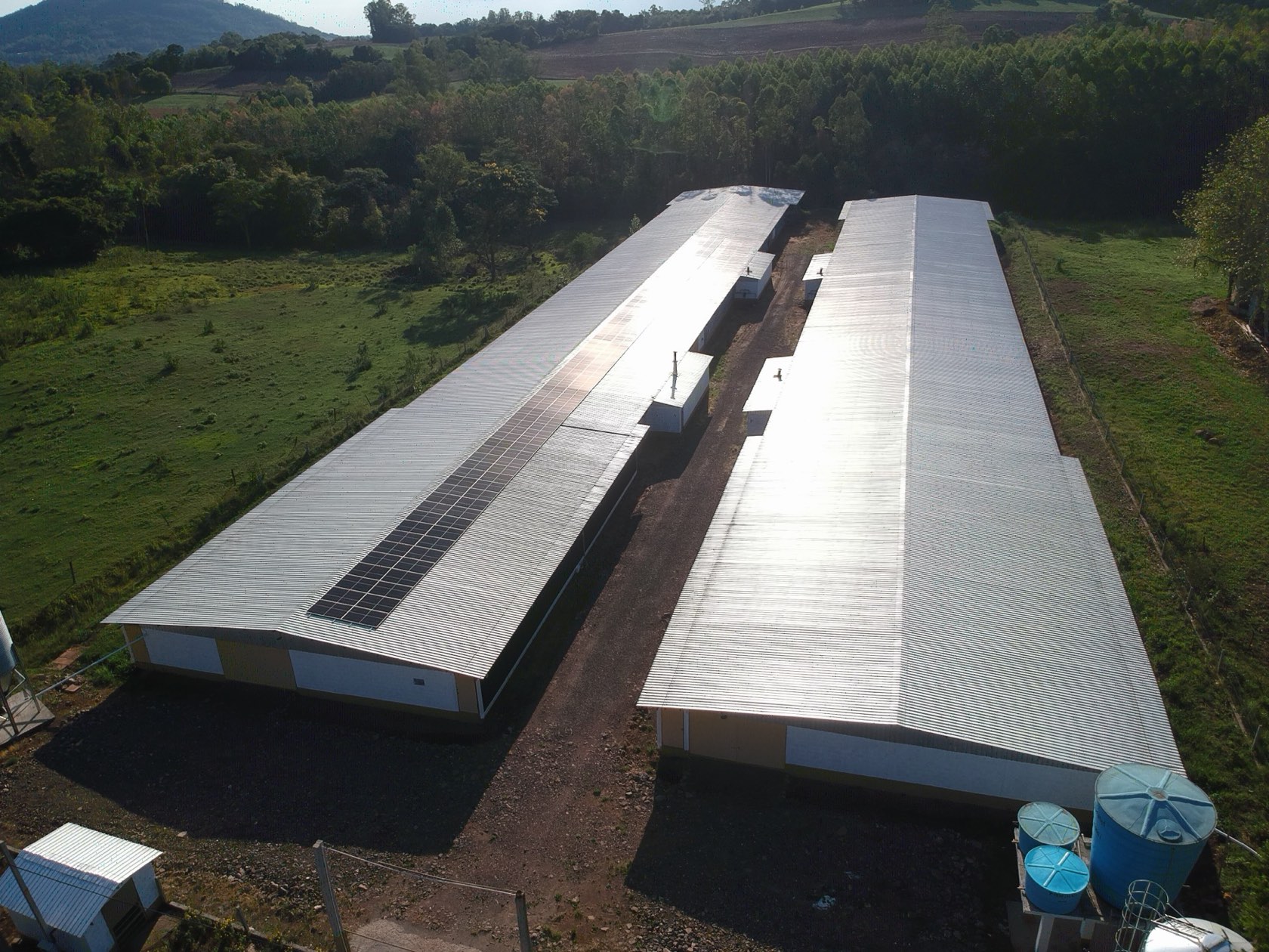 Avicultura, obra da Sonnental